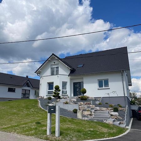 Apartmán Chez Manu Voellerdingen Exteriér fotografie