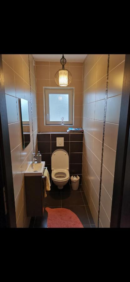 Apartmán Chez Manu Voellerdingen Exteriér fotografie