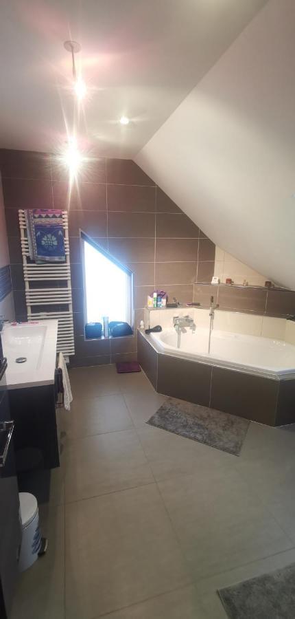 Apartmán Chez Manu Voellerdingen Exteriér fotografie